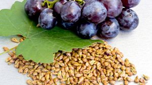 Traubenkern - Inhaltstoff