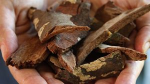 Chuchuhuasi - Inhaltstoff